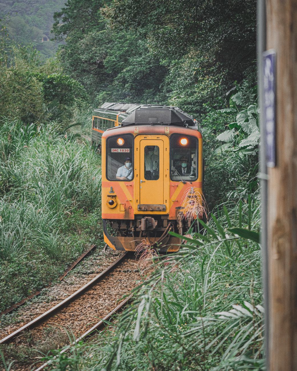 yellow train on rail tracks